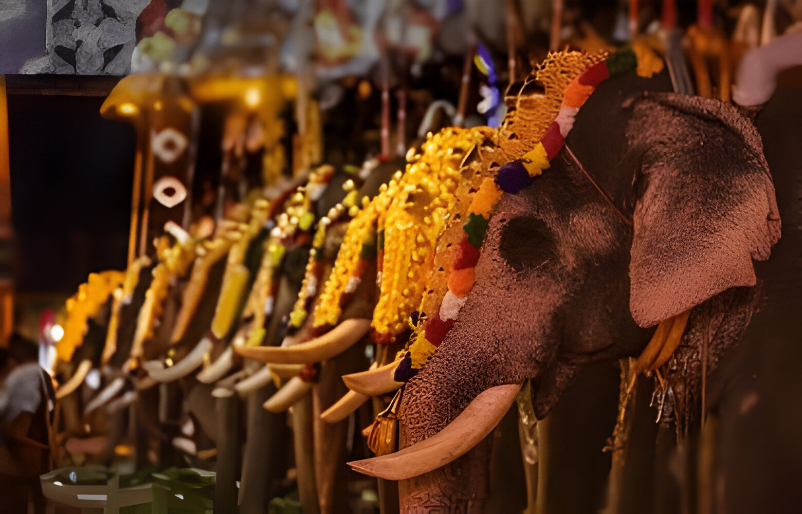 Kerala Tour Packages